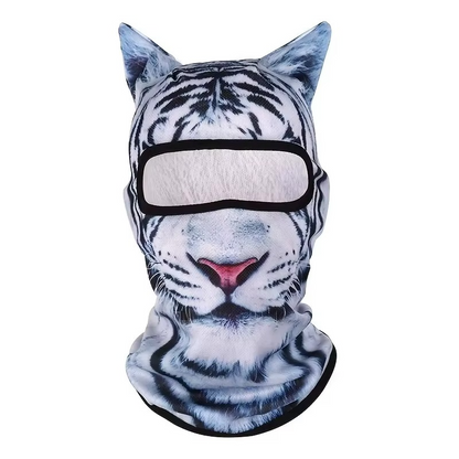 Ski masque
