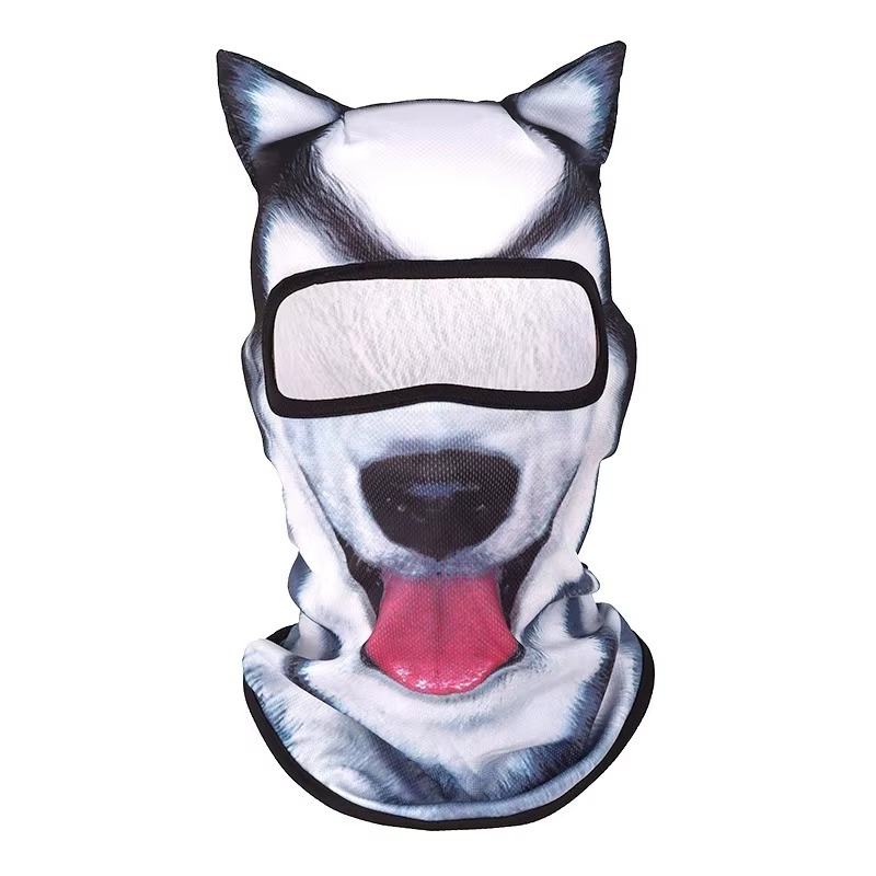 Ski masque